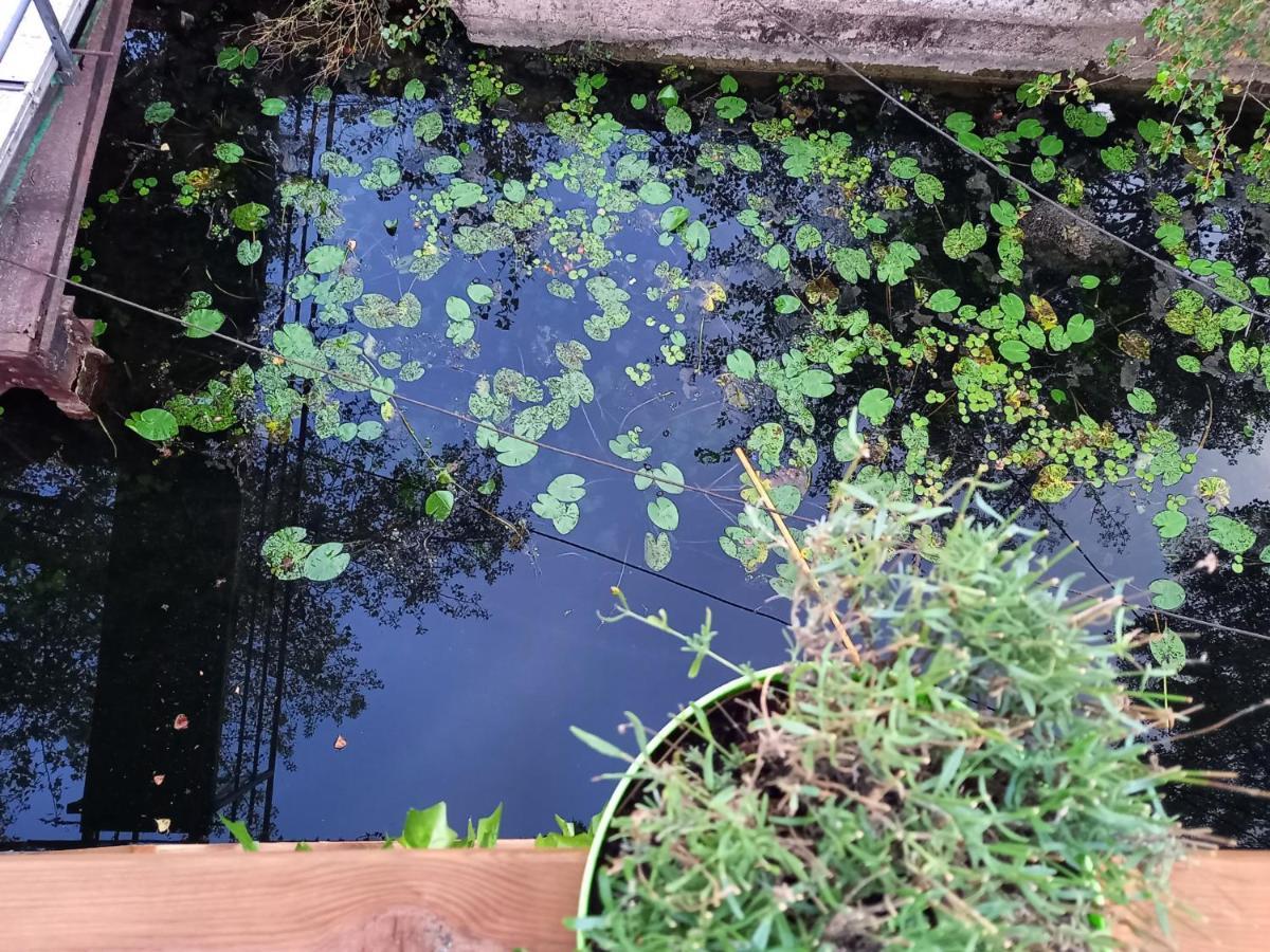 Appartement Atypique Independant Sur Peniche メス エクステリア 写真